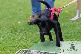 Welpen 13.09.2025 14